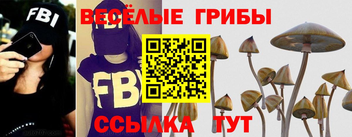 Галлюциногенные грибы прущие грибы  Псилоцибиновые грибы прущие грибы  Вход с VPN  цена   Мценск 